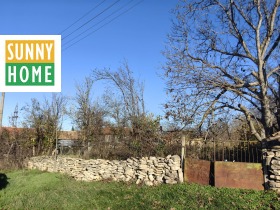 ������ ������� ������