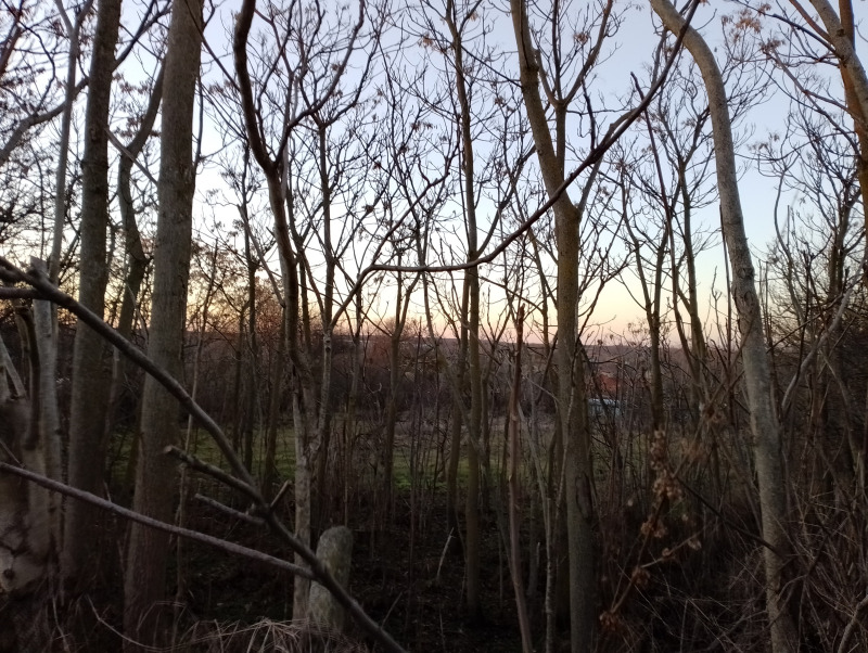 For Sale  Plot region Varna , Cherventsi , 2000 sq.m | 38920344 - image [4]