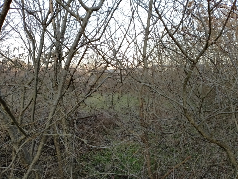 For Sale  Plot region Varna , Cherventsi , 2000 sq.m | 38920344 - image [12]
