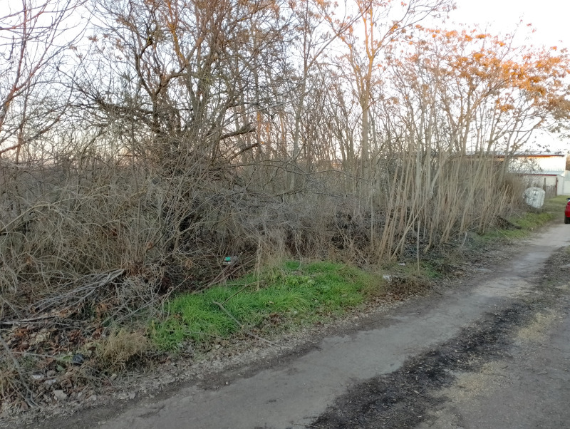 For Sale  Plot region Varna , Cherventsi , 2000 sq.m | 38920344 - image [7]
