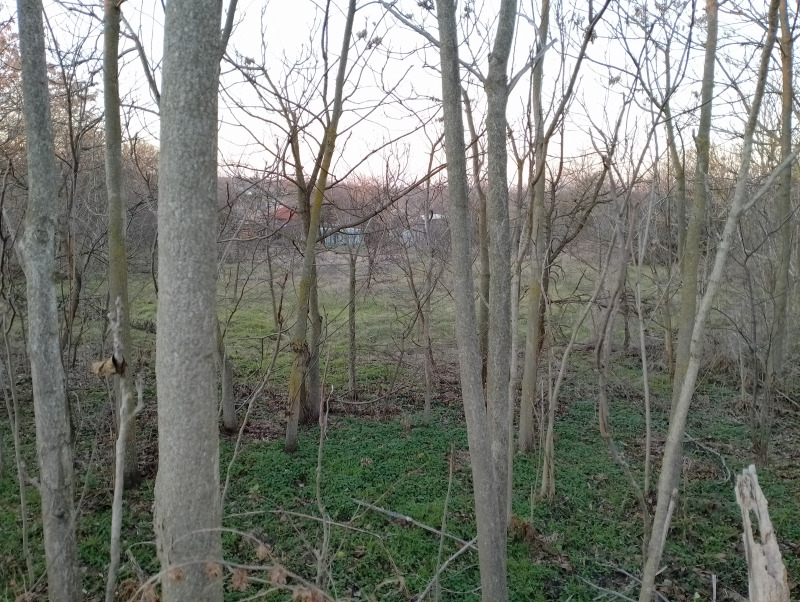 For Sale  Plot region Varna , Cherventsi , 2000 sq.m | 38920344 - image [8]