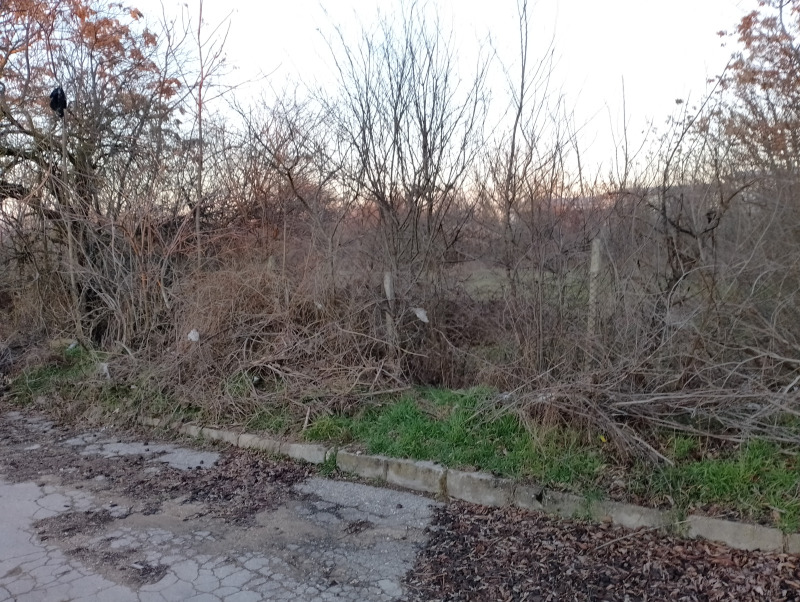 For Sale  Plot region Varna , Cherventsi , 2000 sq.m | 38920344 - image [10]