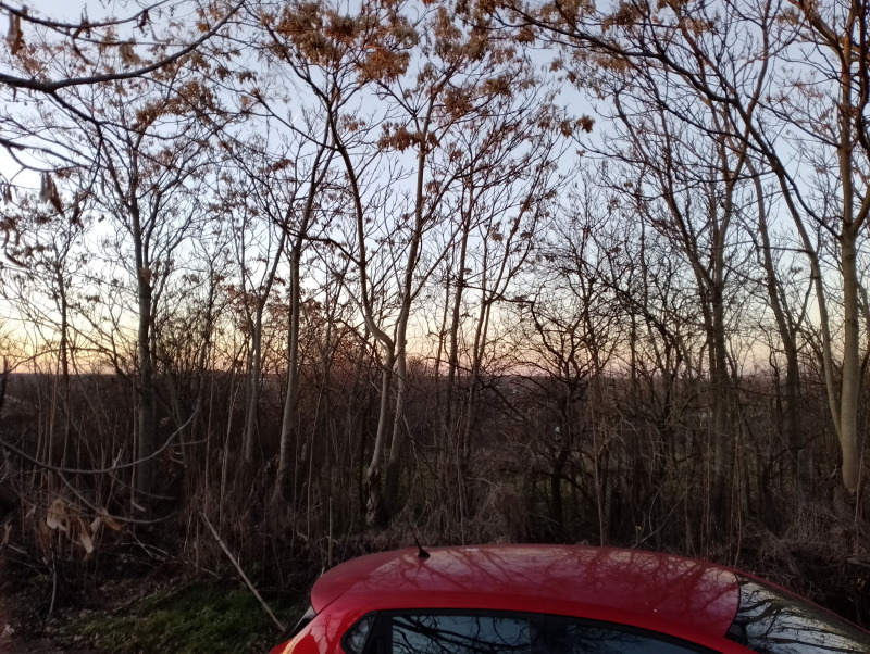 For Sale  Plot region Varna , Cherventsi , 2000 sq.m | 38920344 - image [3]
