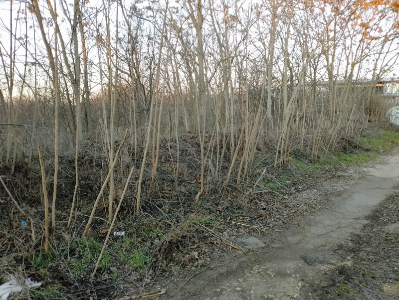For Sale  Plot region Varna , Cherventsi , 2000 sq.m | 38920344 - image [2]