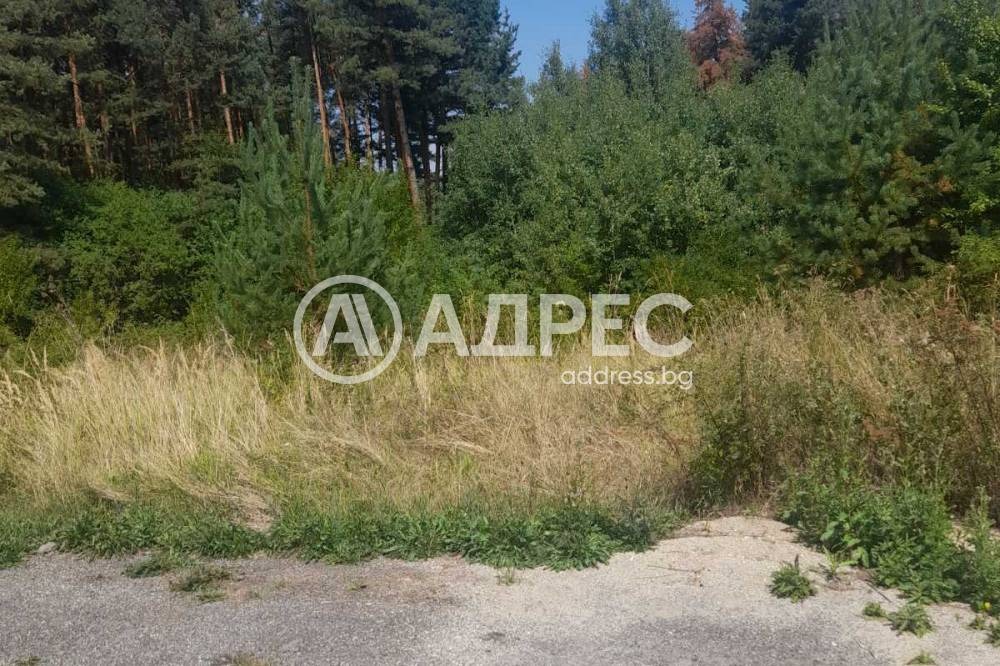 Продава ПАРЦЕЛ, гр. София, с. Долни Пасарел, снимка 2 - Парцели - 56726788