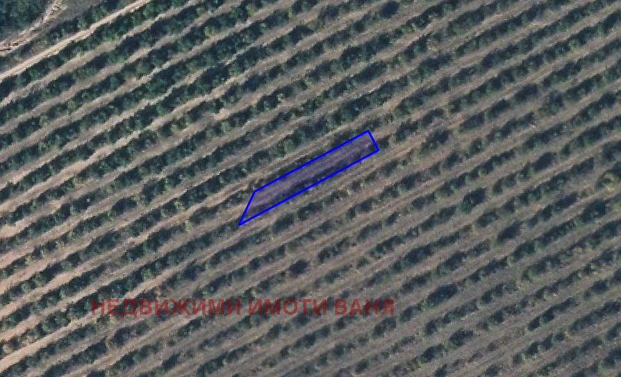 Продава ЗЕМЕДЕЛСКА ЗЕМЯ | Imot.bg — изображение 4