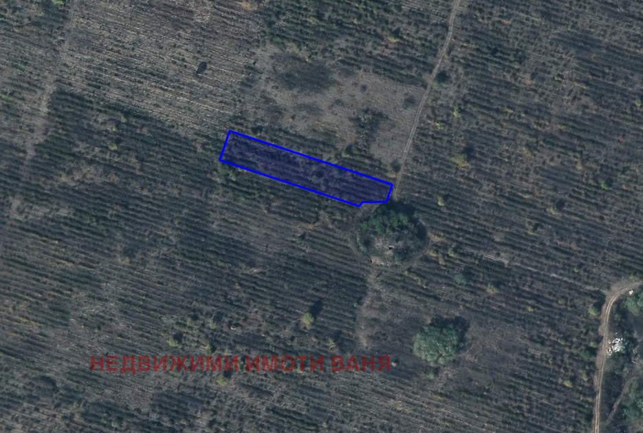 Продава ЗЕМЕДЕЛСКА ЗЕМЯ | Imot.bg — изображение 8