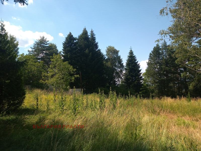 For Sale  Plot Sofia , v.z.Simeonovo - Dragalevtsi , 2451 sq.m | 89975728 - image [3]