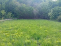 Продава ПАРЦЕЛ, с. Балканец, област Ловеч, снимка 3