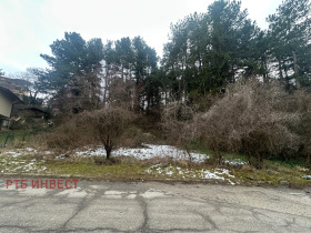 ����� ������� ������,���� �����, ��. �����