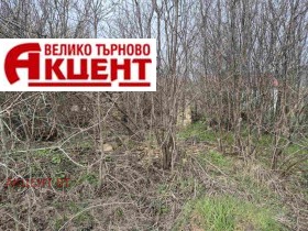 ����� ������� ������,�. �������, ������ ������ �������