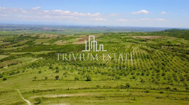 Продава ПАРЦЕЛ, с. Брестовица, област Пловдив, снимка 4 - Парцели - 53093216