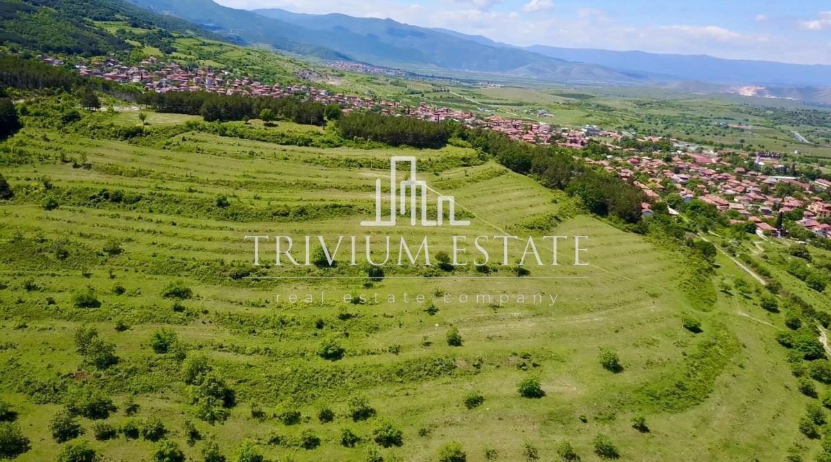 Продава ПАРЦЕЛ, с. Брестовица, област Пловдив, снимка 5 - Парцели - 53093216