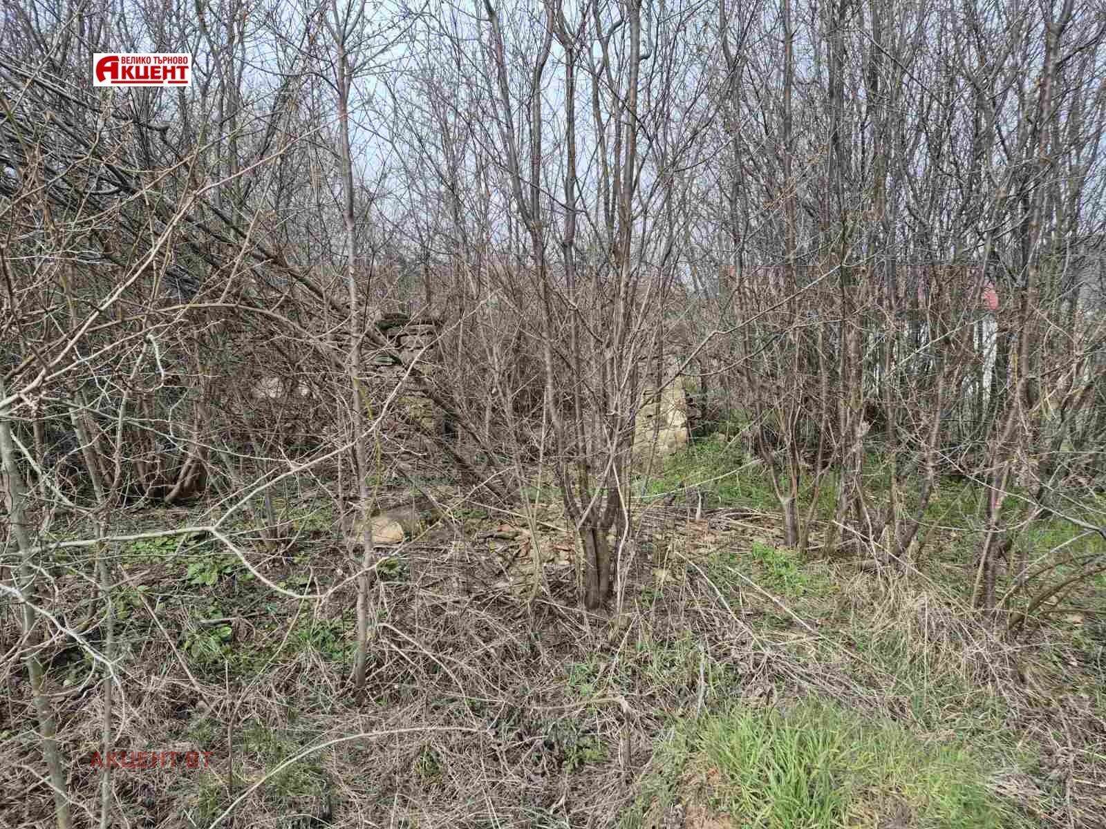 Продава ПАРЦЕЛ, с. Присово, област Велико Търново, снимка 3 - Парцели - 53884545