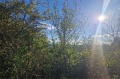 Продава ПАРЦЕЛ, с. Бенковски, област Варна, снимка 2