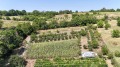 Продава ПАРЦЕЛ, област Русе, с. Мечка • 14500 € / 28359.53 лв. • 60123089 4