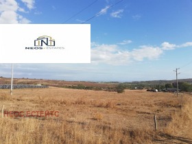 ����� ������� ������,�. ����������, ������ ������