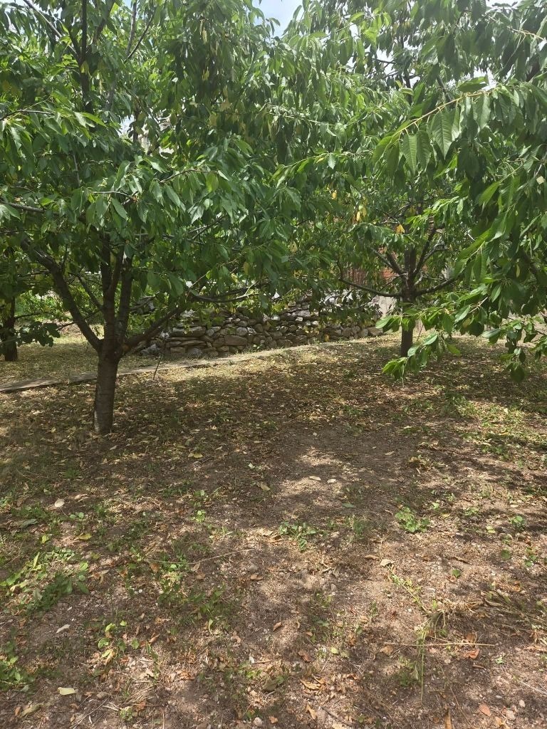 Продава ПАРЦЕЛ, с. Коняво, област Кюстендил