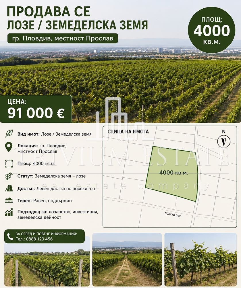 Продава ЗЕМЕДЕЛСКА ЗЕМЯ, гр. Пловдив, област Пловдив