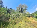 Продава ПАРЦЕЛ, с. Смочево, област Кюстендил, снимка 2