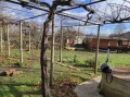 Продава КЪЩА, област Бургас, с. Подвис • 43460 € • 53506929 — Holmes.bg