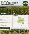 Продава  Земеделска земя област Пловдив , гр. Пловдив , 4 дка | 78664485