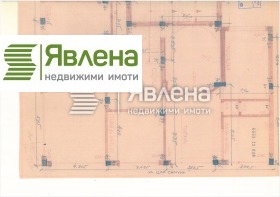 ����� ������� �������,���� �����, ������