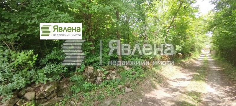 For Sale  Plot region Lovech , Oreshak , 3937 sq.m | 58574588 - image [4]