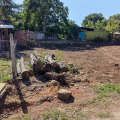 Продава ПАРЦЕЛ, с. Горно Церовене, област Монтана, снимка 9