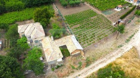 Talo Medovo, Dobrichin alue