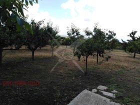 Grund Stambolijski, region Plovdiv 2