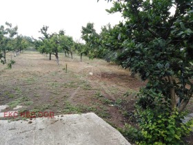 Grund Stambolijski, region Plovdiv 3