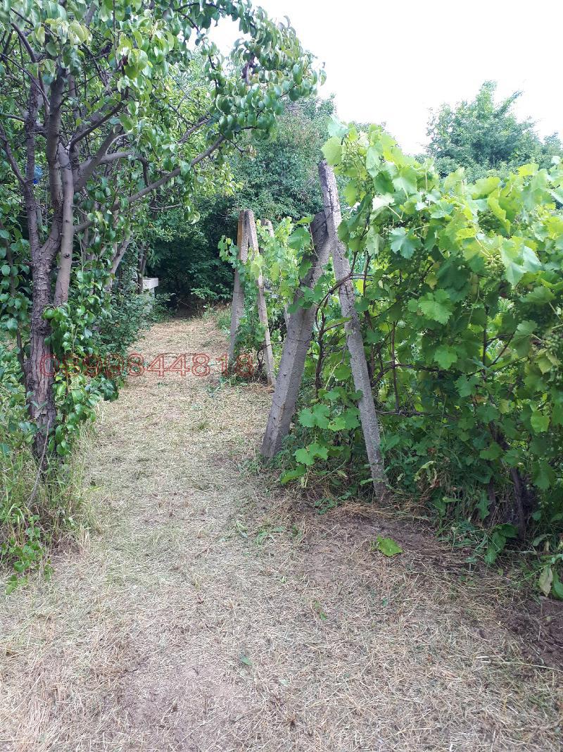 Продава КЪЩА, с. Арчар, област Видин, снимка 5 - Къщи - 52782478