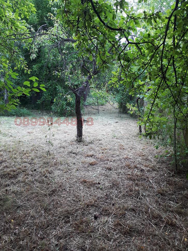 Продава КЪЩА, с. Арчар, област Видин, снимка 7 - Къщи - 52782478