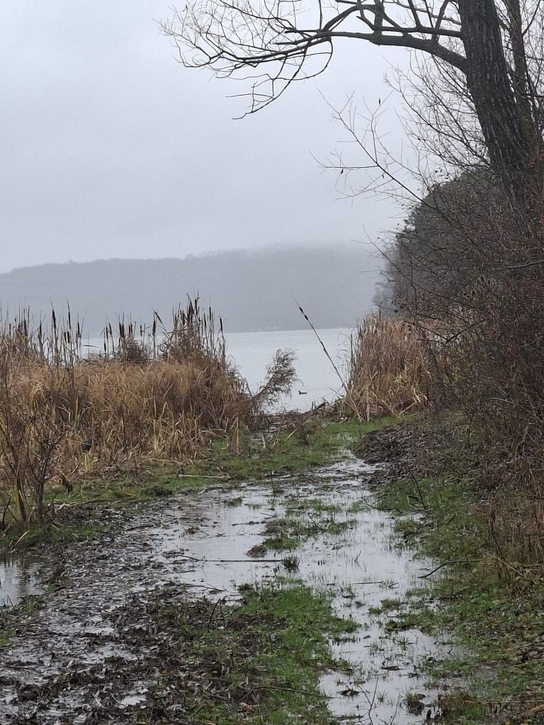 ������� ���������� ���� | Imot.bg � ����������� 2