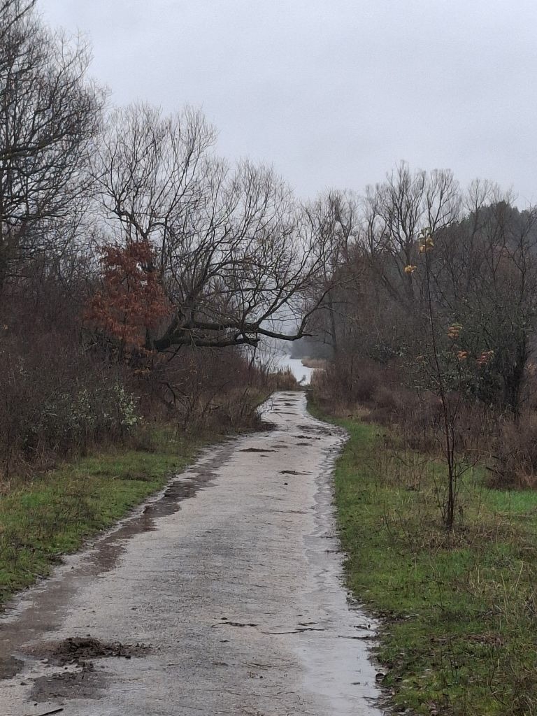 ������� ���������� ���� | Imot.bg � ����������� 3