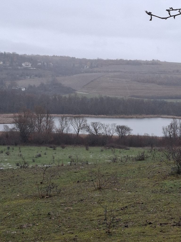 ������� ���������� ���� | Imot.bg � ����������� 1