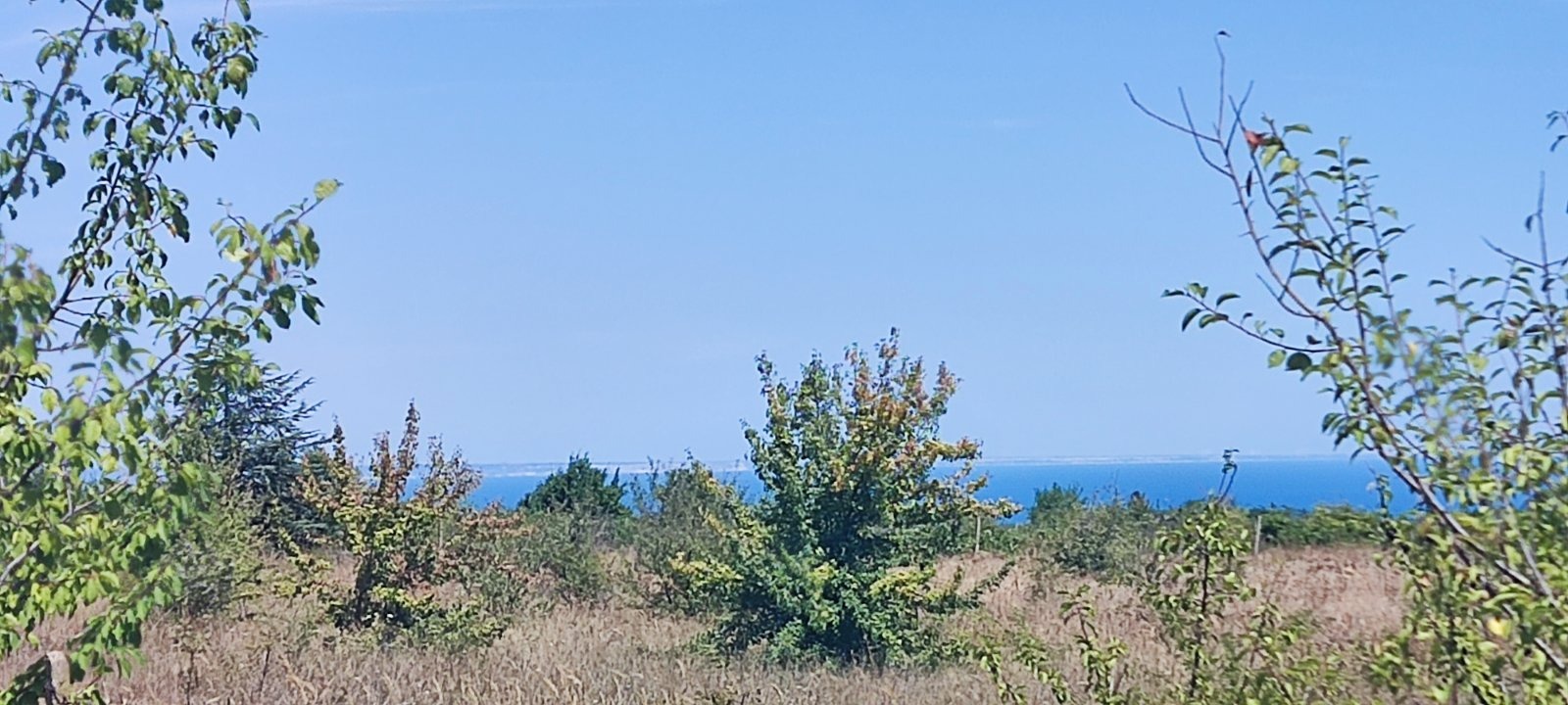 ������� ������ | Imot.bg � ����������� 2