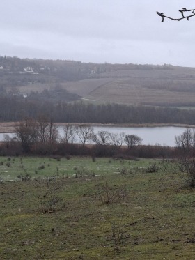 ������ ������� ���������� ����