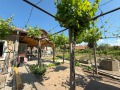 Продава КЪЩА, с. Виноградец, област Пазарджик, снимка 2