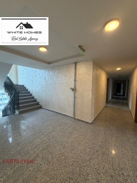 ����� ������� 2-�����,���� �����, �������� ������