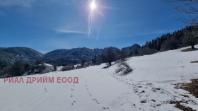 Сюжет Гела, область Смолян 5