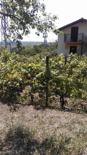 ������� ������ | Imot.bg � ����� ������ 6