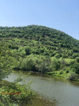 ������� ������ | Imot.bg � ����� ������ 5