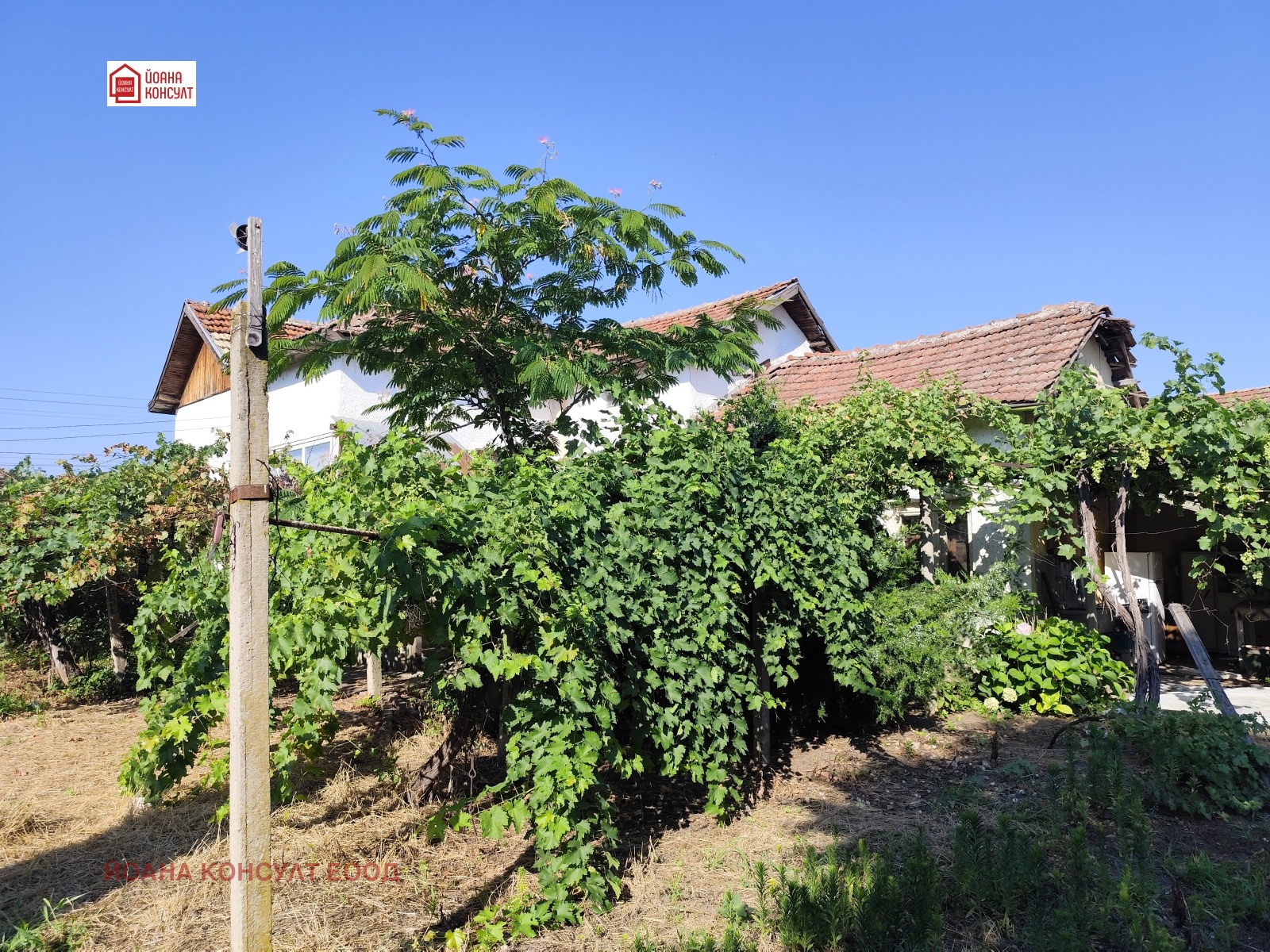 Продава КЪЩА, с. Горни Дъбник, област Плевен, снимка 4 - Къщи - 55341270