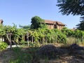 Продава КЪЩА, с. Горни Дъбник, област Плевен, снимка 5