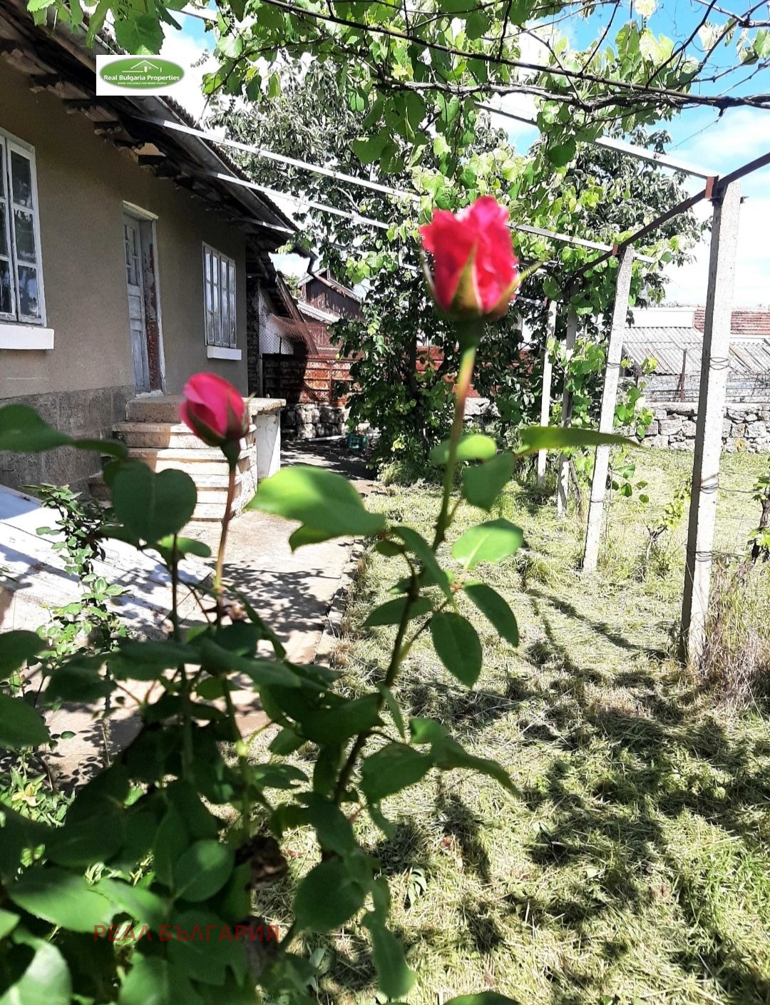 ������� ���� | Imot.bg � ����������� 8