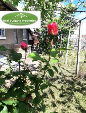 ������� ���� | Imot.bg � ����� ������ 8