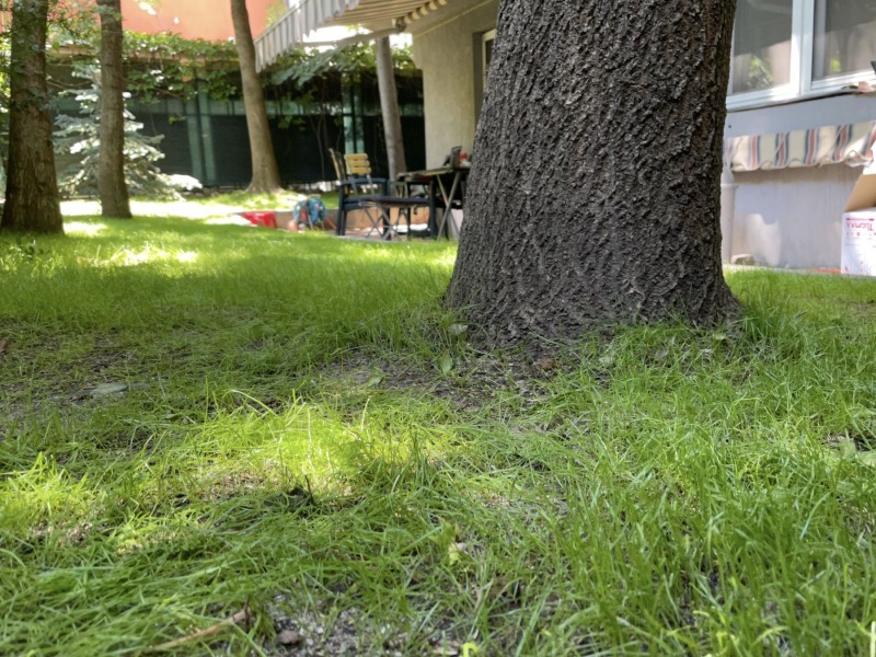 For Sale  1 bedroom Sofia , Tsentar , 65 sq.m | 66978231 - image [8]
