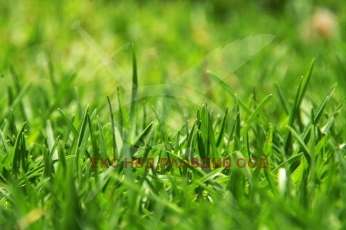 Продава ПАРЦЕЛ, с. Цалапица, област Пловдив